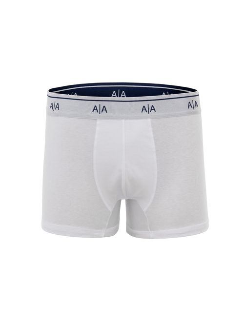 boxer-augustus-any-any